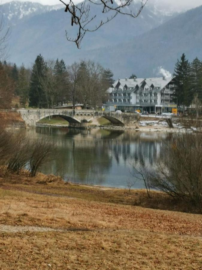 Remarkable Home Bohinj Lake エクステリア 写真