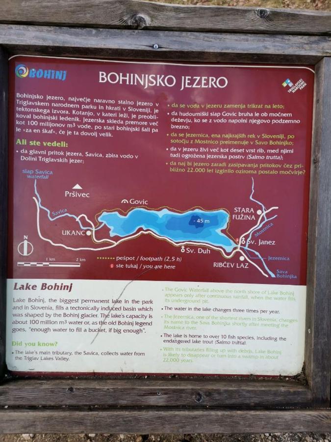 Remarkable Home Bohinj Lake エクステリア 写真