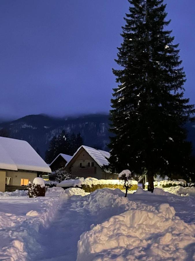 Remarkable Home Bohinj Lake エクステリア 写真